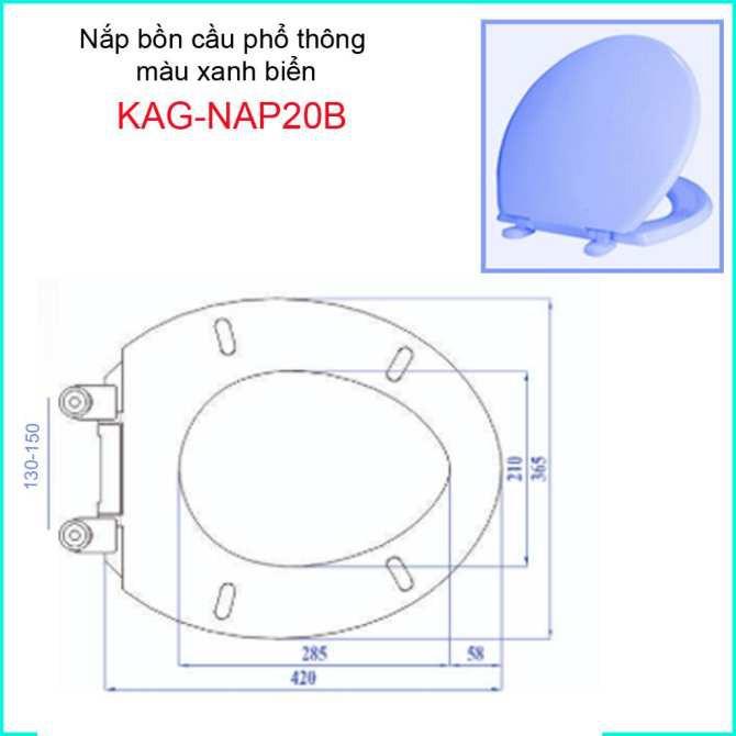 Nắp bồn cầu màu xanh biển