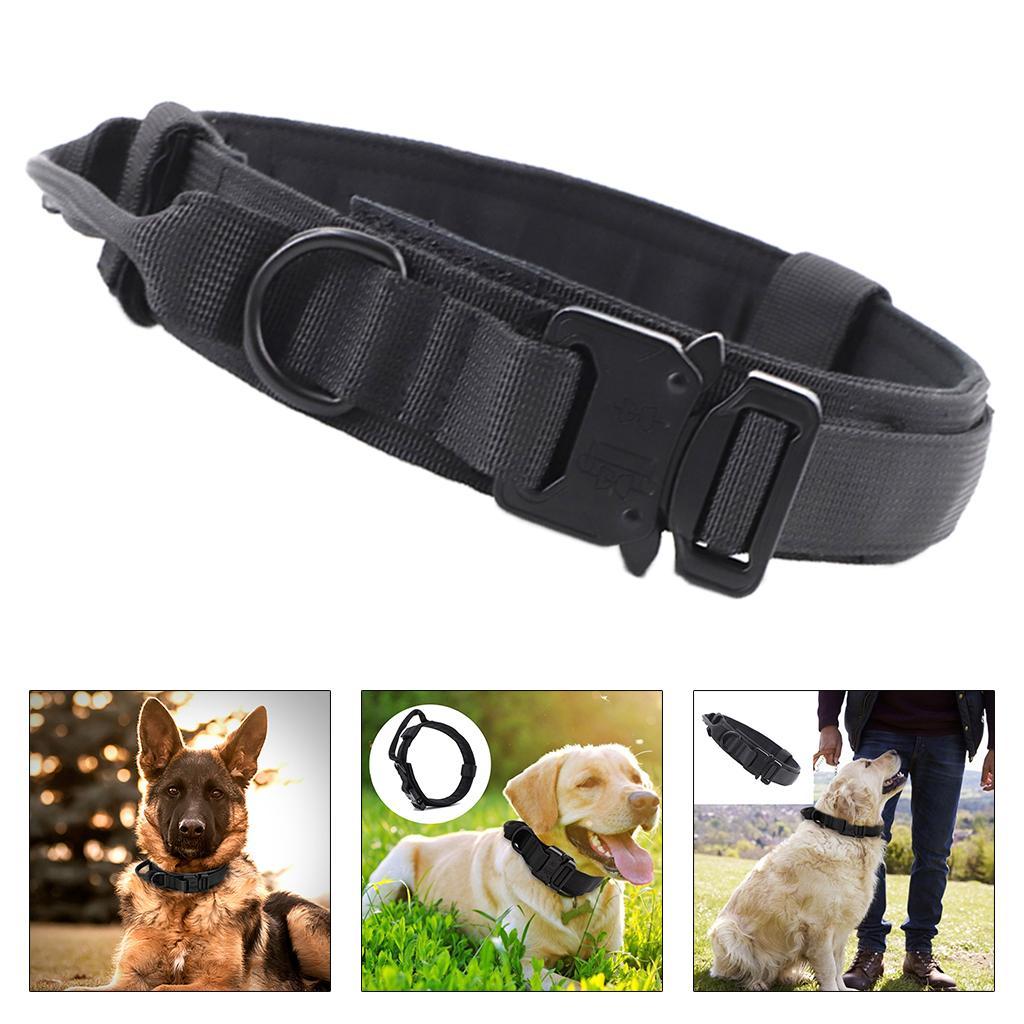 Dog Collar Classic Solid Colors with D-Ring for Medium Large Dogs Black