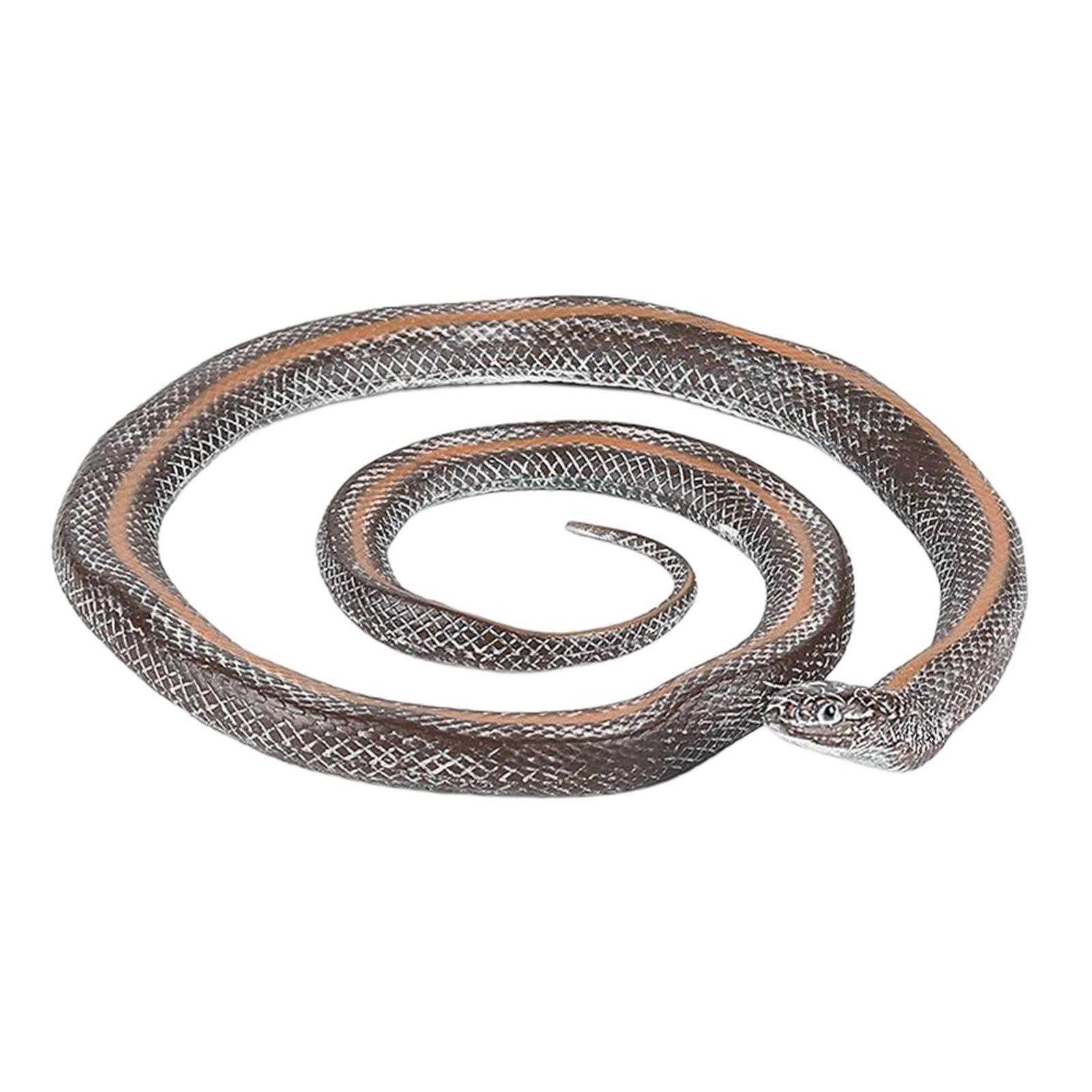 Simulation Fake  Photo Props Educational Durable Statue 17cm for Home