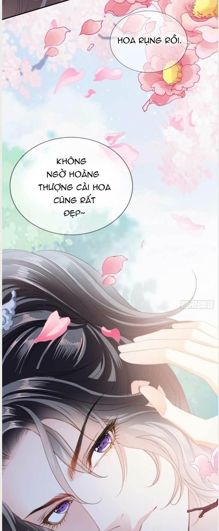 bổn vương muốn nàng chapter 138 21