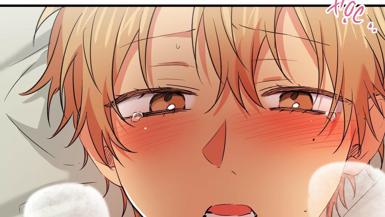 đàn thỏ của habibi chapter 54 165