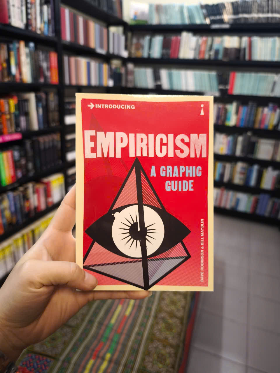 Sách - Introducing Empiricism A Graphic Guide by Dave Robinson - Philosophy /Nonfiction/ Science in English