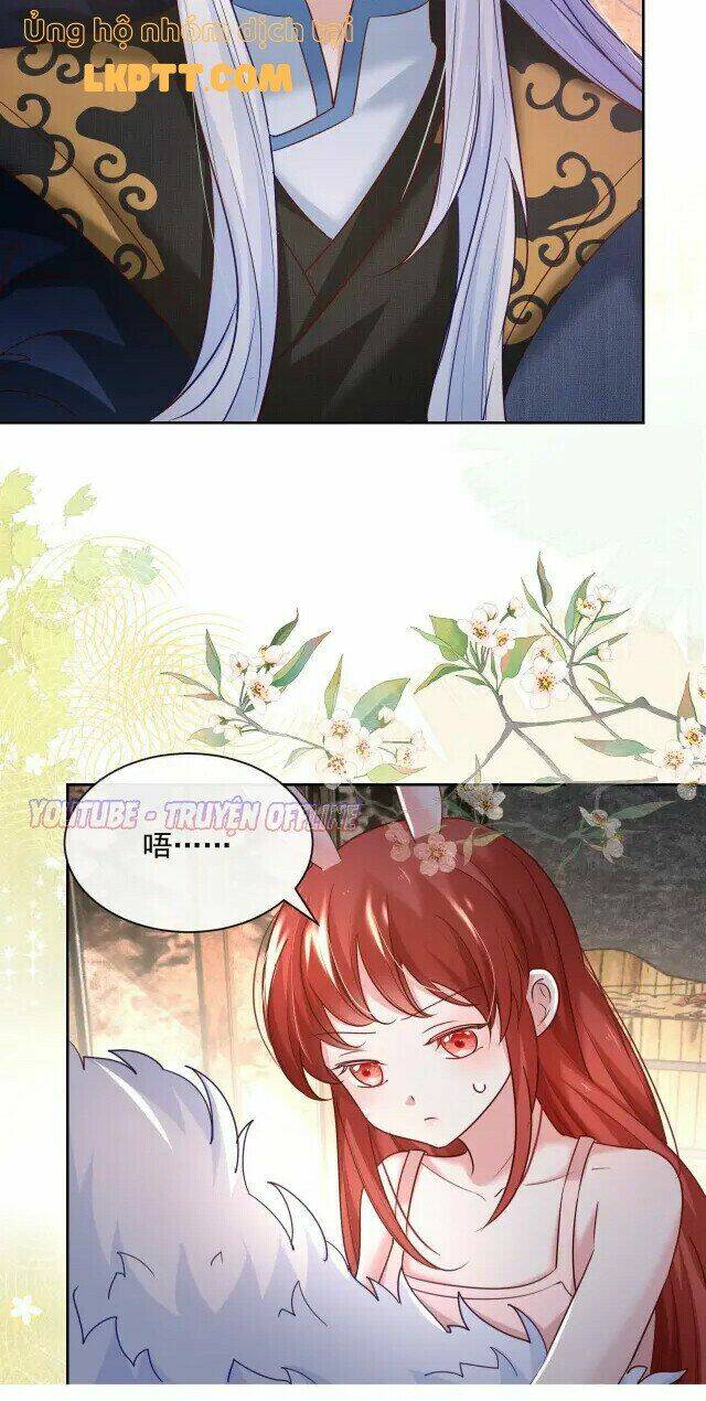 hắc hóa nam chính trực tuyến nuôi thỏ chapter 31 33