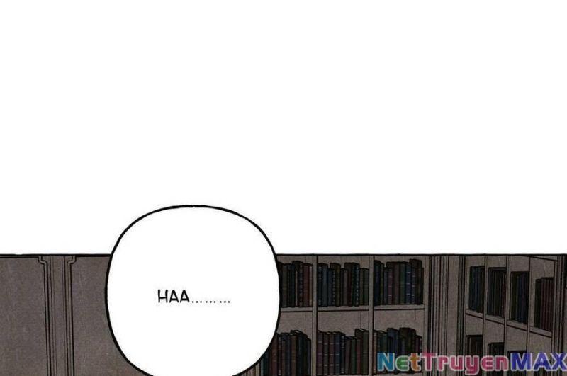 nuôi dưỡng một hắc long chapter 70.2 60