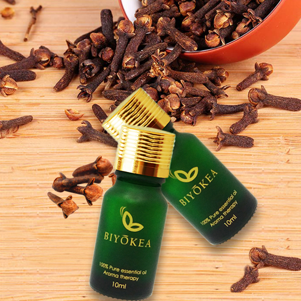 Tinh Dầu Đinh Hương Biyokea