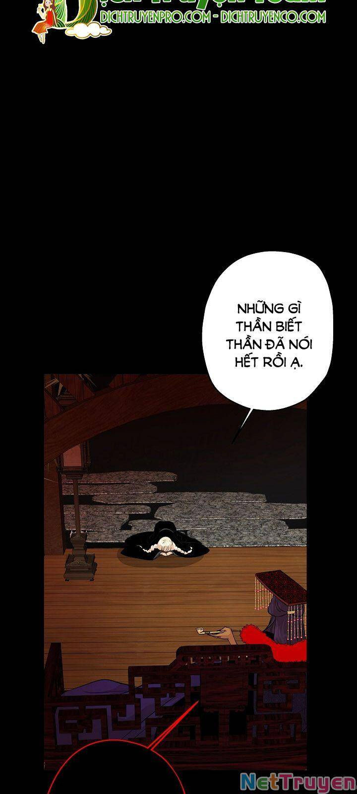 cuộc sống kỳ thú chapter 79 36