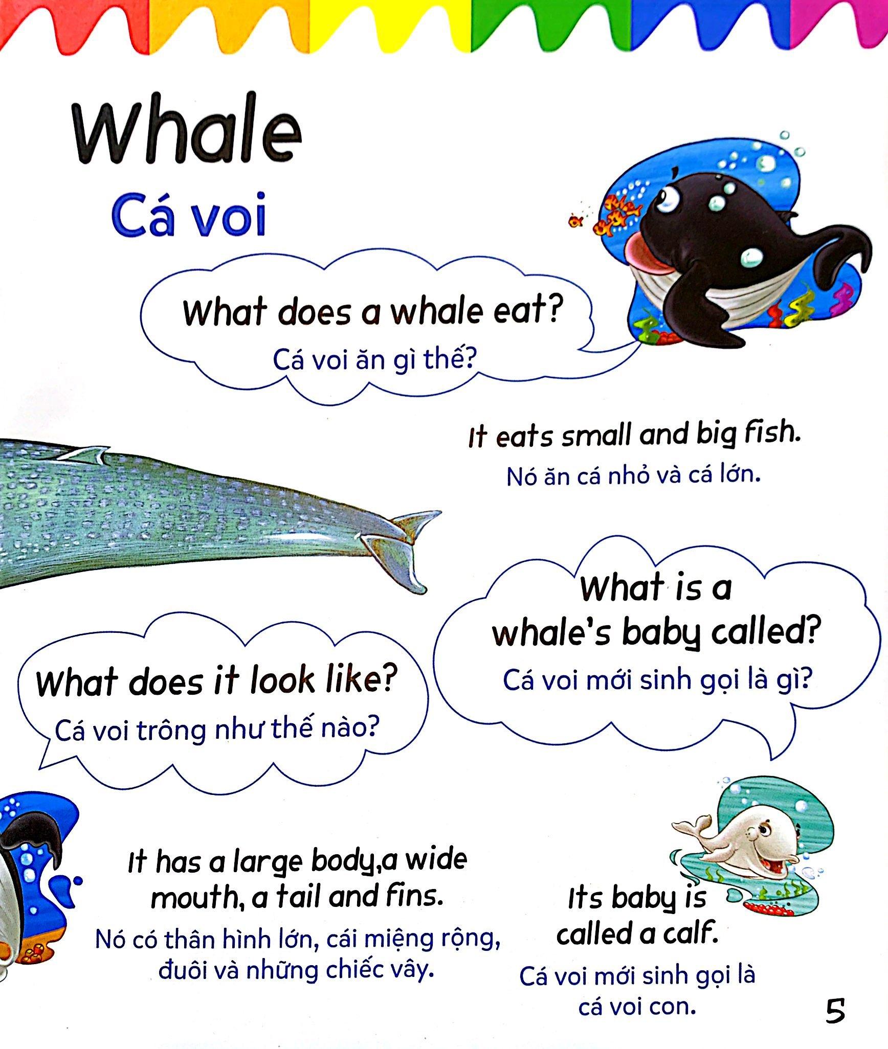 Mẹ Hỏi Bé Trả Lời - Song Ngữ Anh-Việt - Ocean - Đại Dương (Dành Cho Trẻ Từ 2-7 Tuổi)