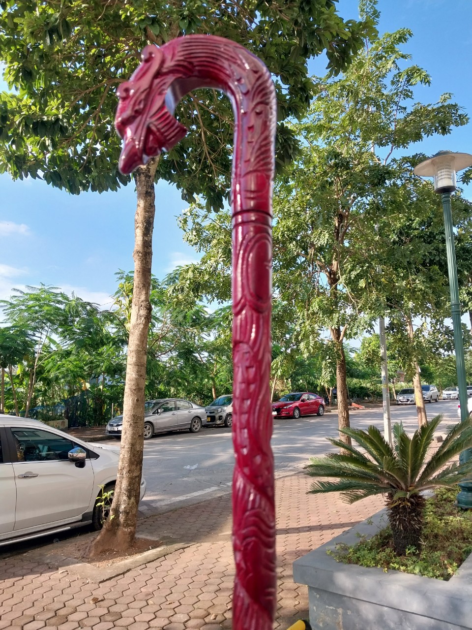 Gậy Chống Trượt Cho người Già - Hàng chính hãng