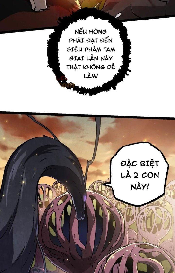 từ cây cổ thụ bắt đầu tiến hóa chapter 74 14