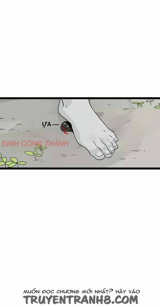 mục vụ chapter 4.3 49