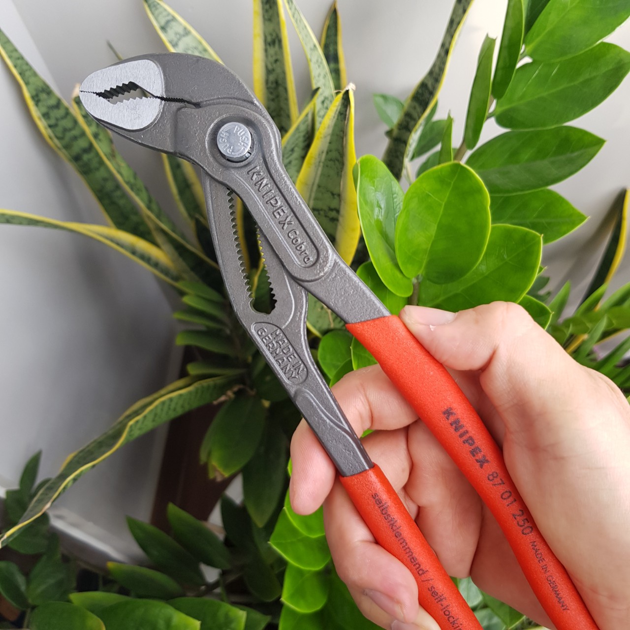 Kìm nước Cobra KNIPEX - 87 01 250