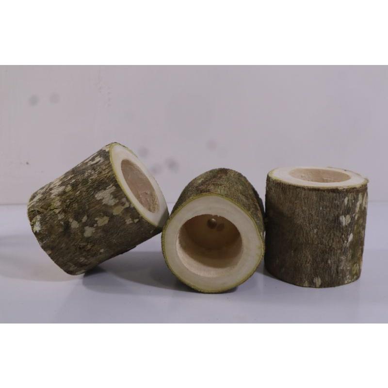 Chậu gỗ tròn trồng sen đá