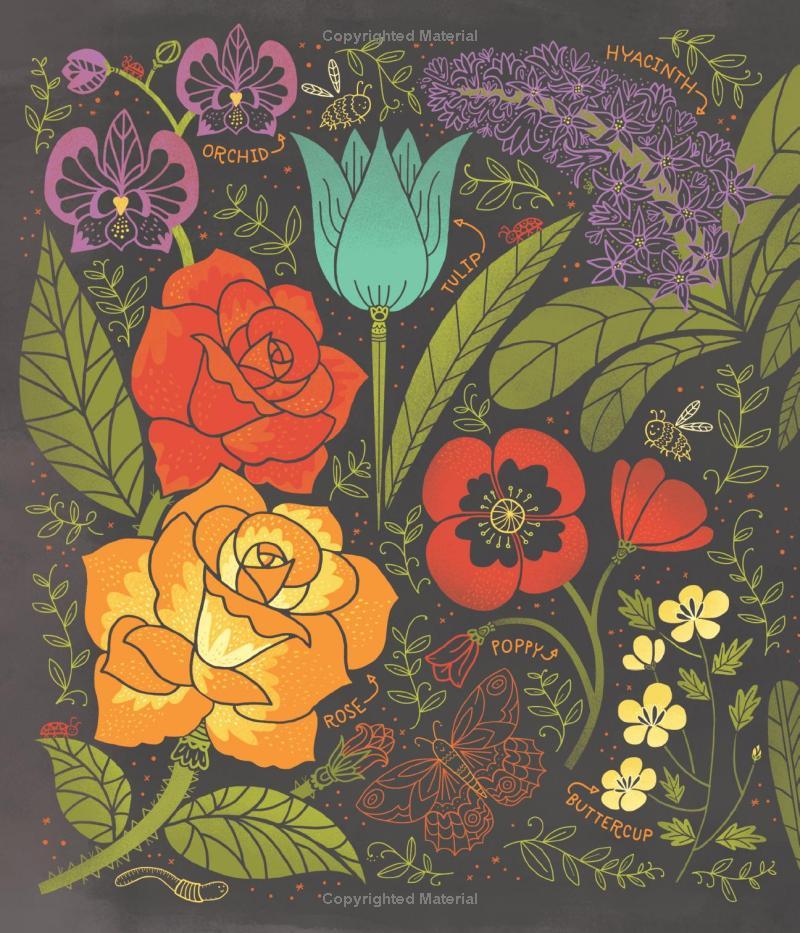 Sách ngoại văn: What's Inside A Flower?