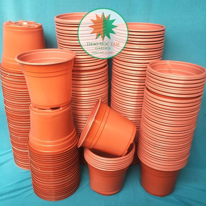 10c Chậu nhựa trồng hoa 15x12.5cm - Chậu chuyên trồng hoam dâu tây nhà vườn