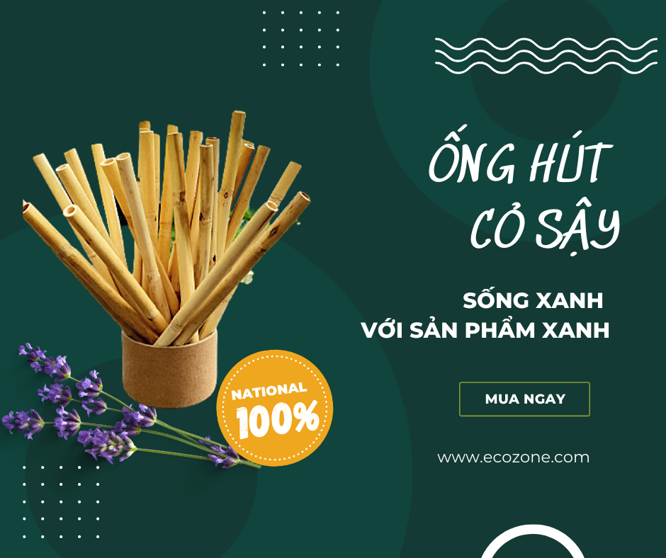 Hộp 100 ống hút cỏ sậy Ecozone dài 20cm size M dùng cho sinh tố, cafe, smothies - tiêu chuẩn xuất khẩu