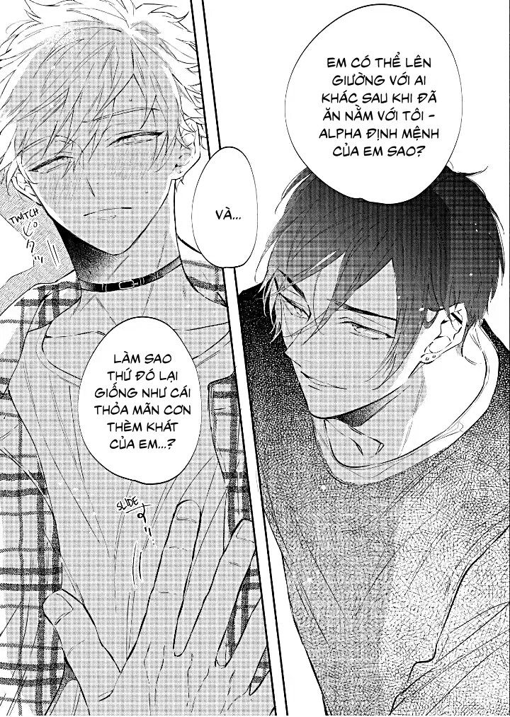 [18+]anh alpha kia! ly hôn đi chapter 1.2 12