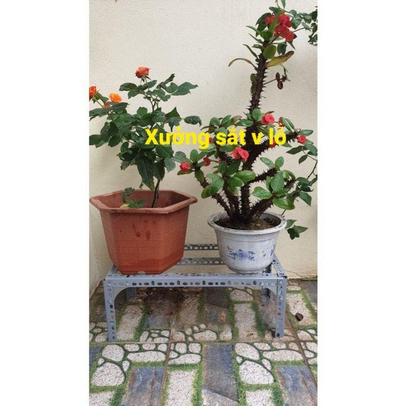 Kệ sắt để chậu cây cảnh,kệ chân chậu hoa,hoa mai,hoa hồng,cây cảnh
