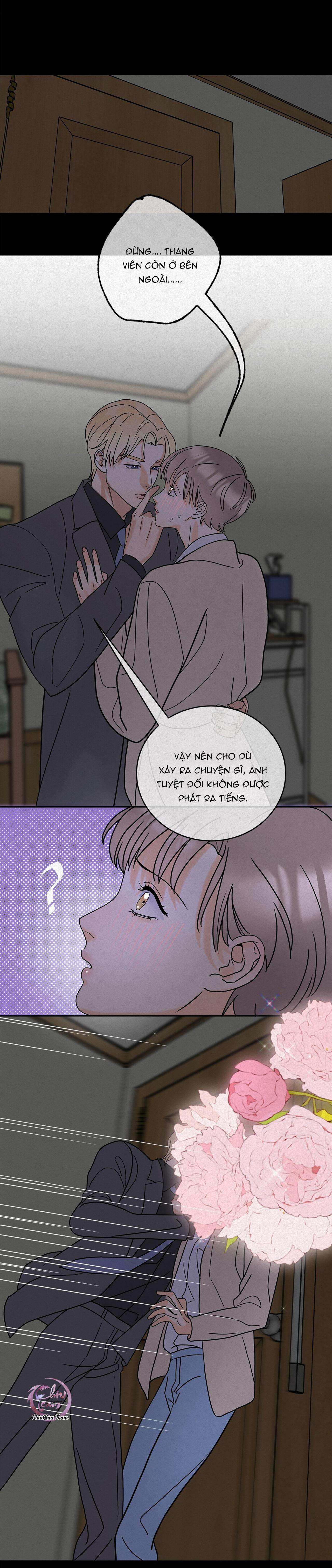 anh trai rẻ tiền của tôi chapter 11 12