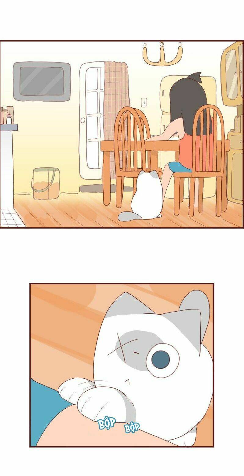 saphie: chú mèo một mắt chapter 6 1