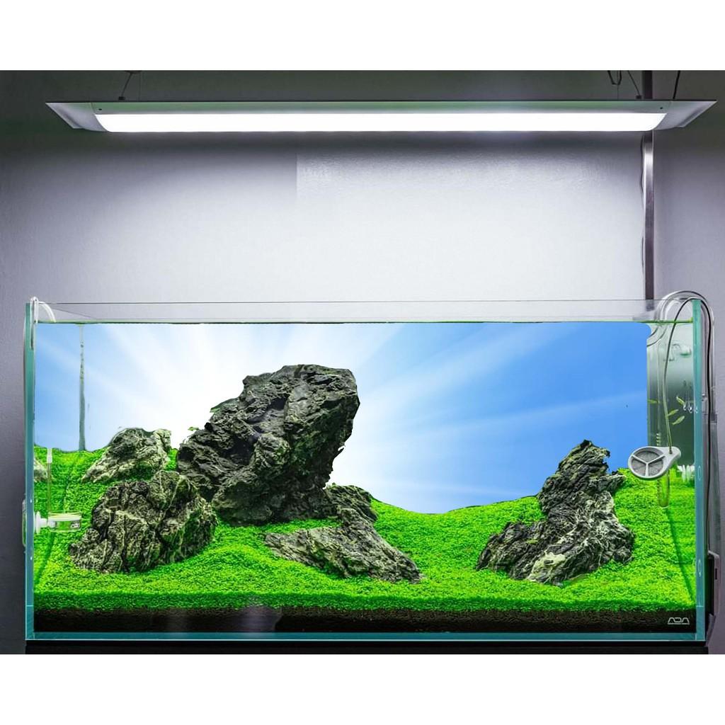 Tranh 3d dán hồ cá mẫu mã đa dạng có keo sẵn