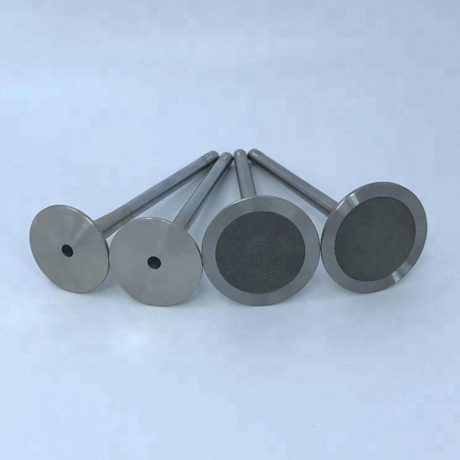 16Pcs Intake Valves and Exhaust Valves for 10-17