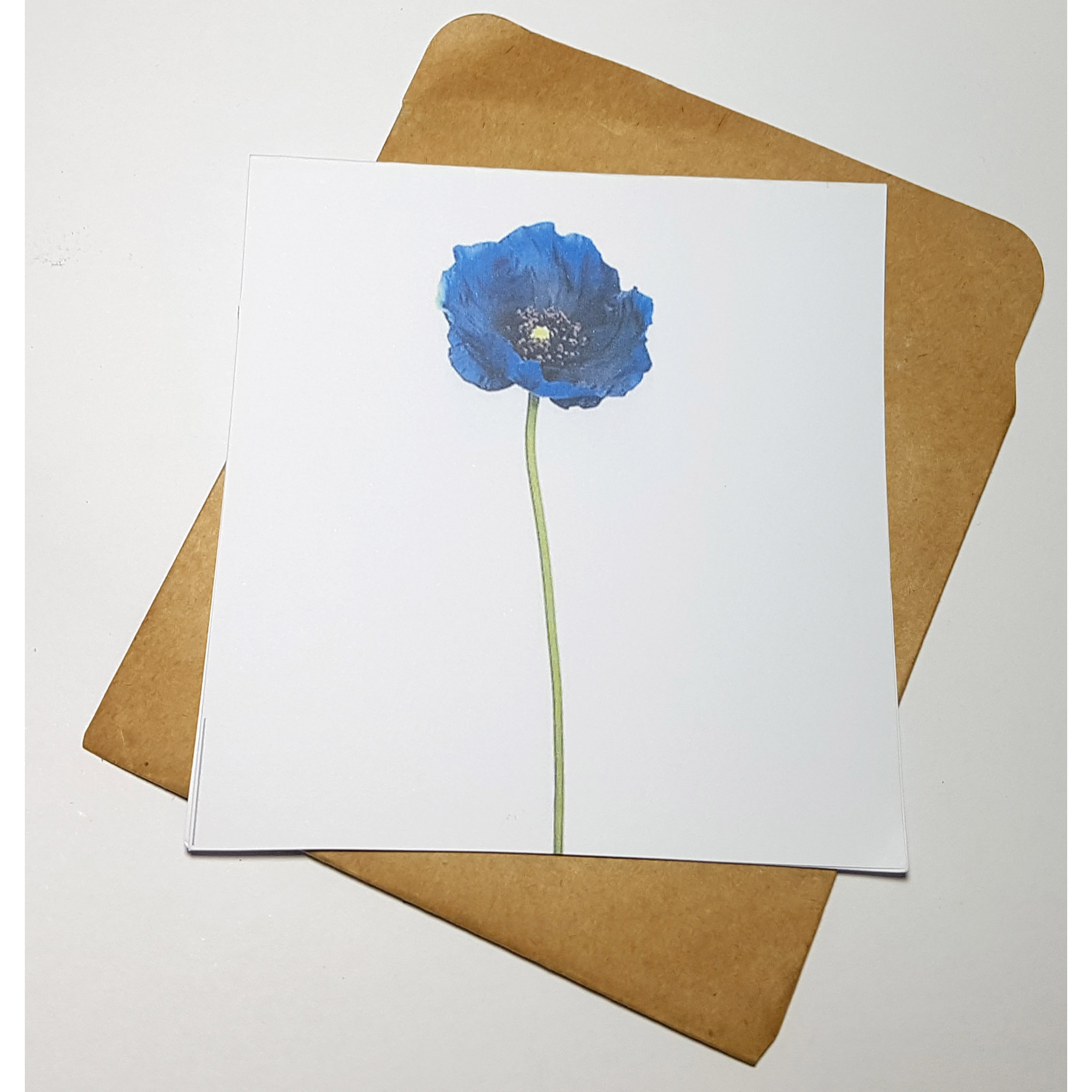 Thiệp phong cách Vintage card quà cám ơn ,chúc mừng sinh nhật và giử tặng người thân yêu.