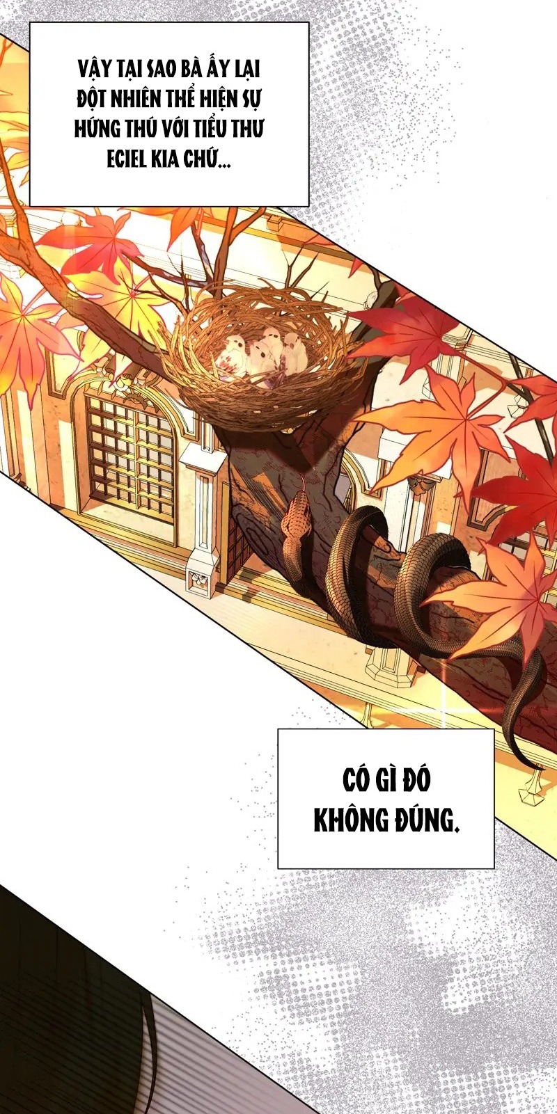 papa của tôi đã xuất hiện chapter 47 11