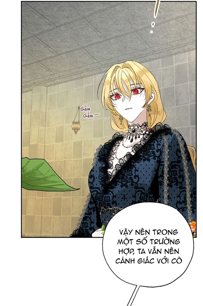 cách để cứu rỗi anh trai của nữ chính chapter 19 51