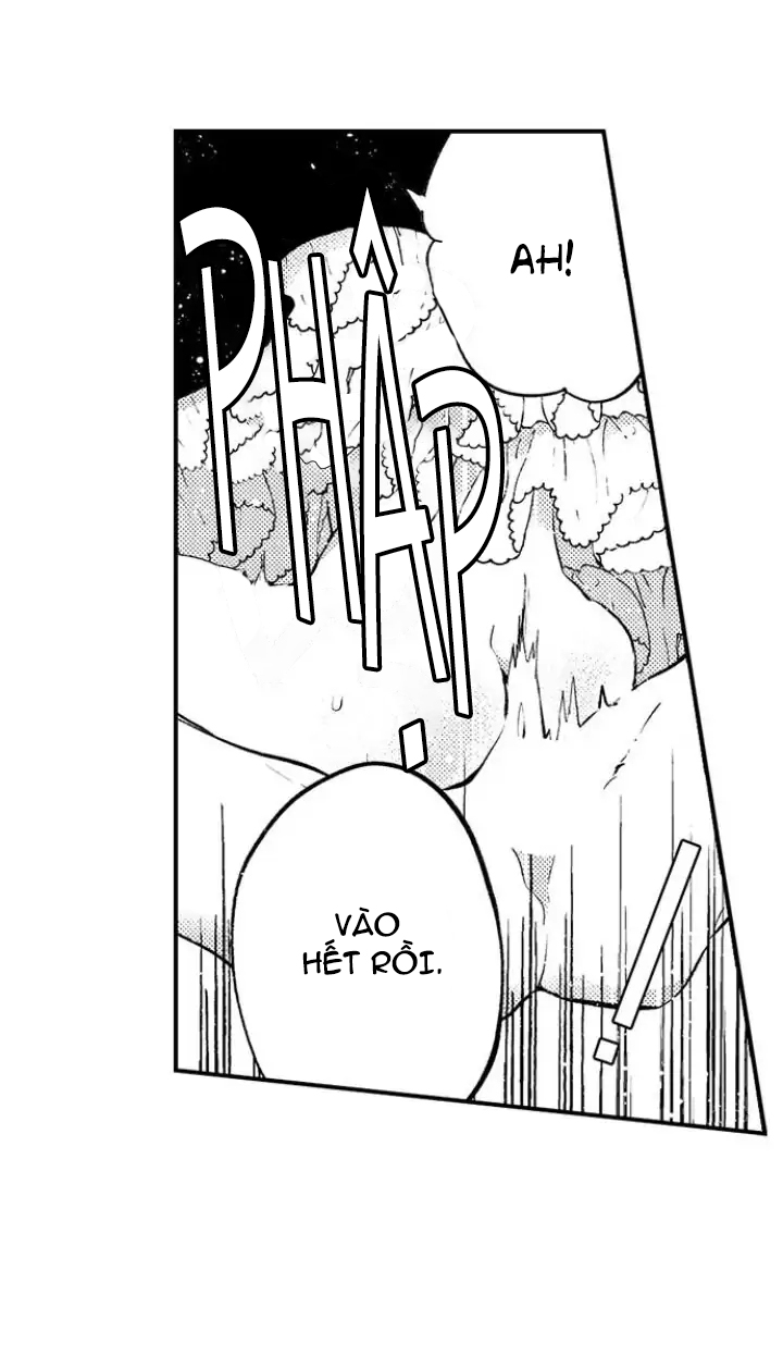 tiếng gọi của tình yêu sau trải nghiệm cận tử chapter 27 29