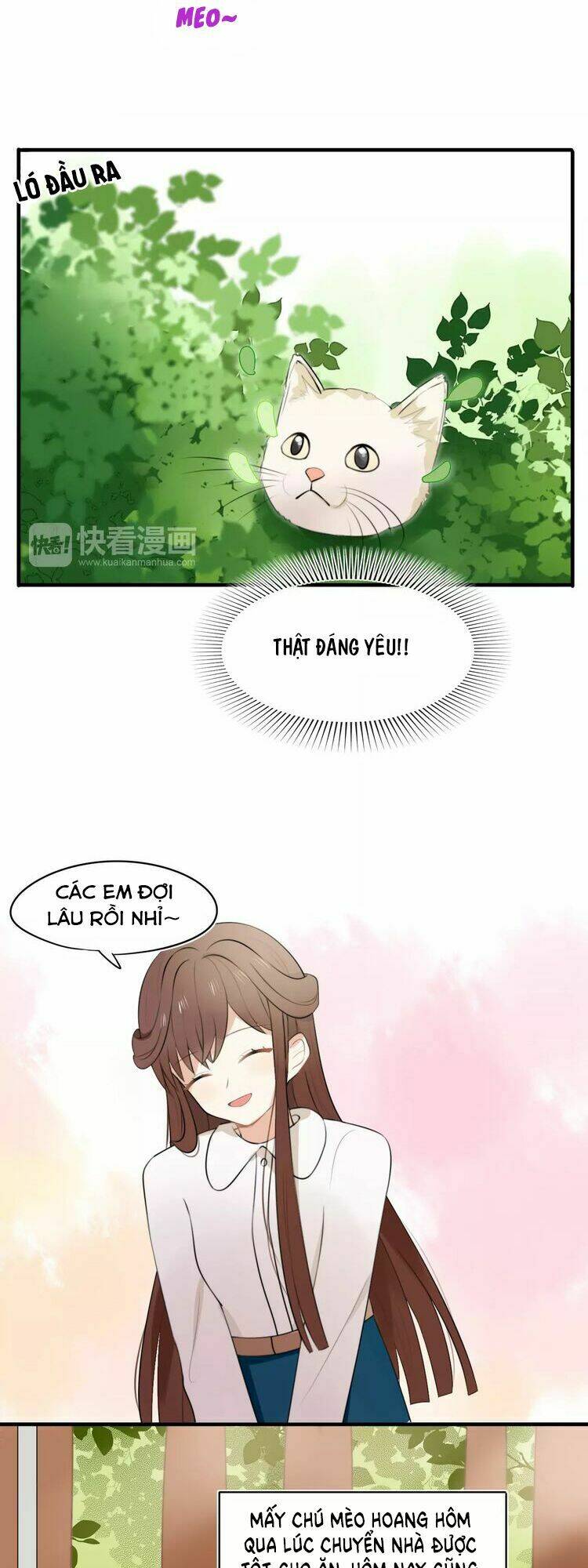 tiểu miêu và hắc diệu thạch chapter 1 11