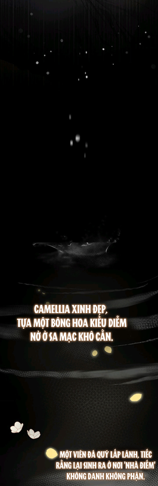 đi tìm nàng camellia chapter 0 14