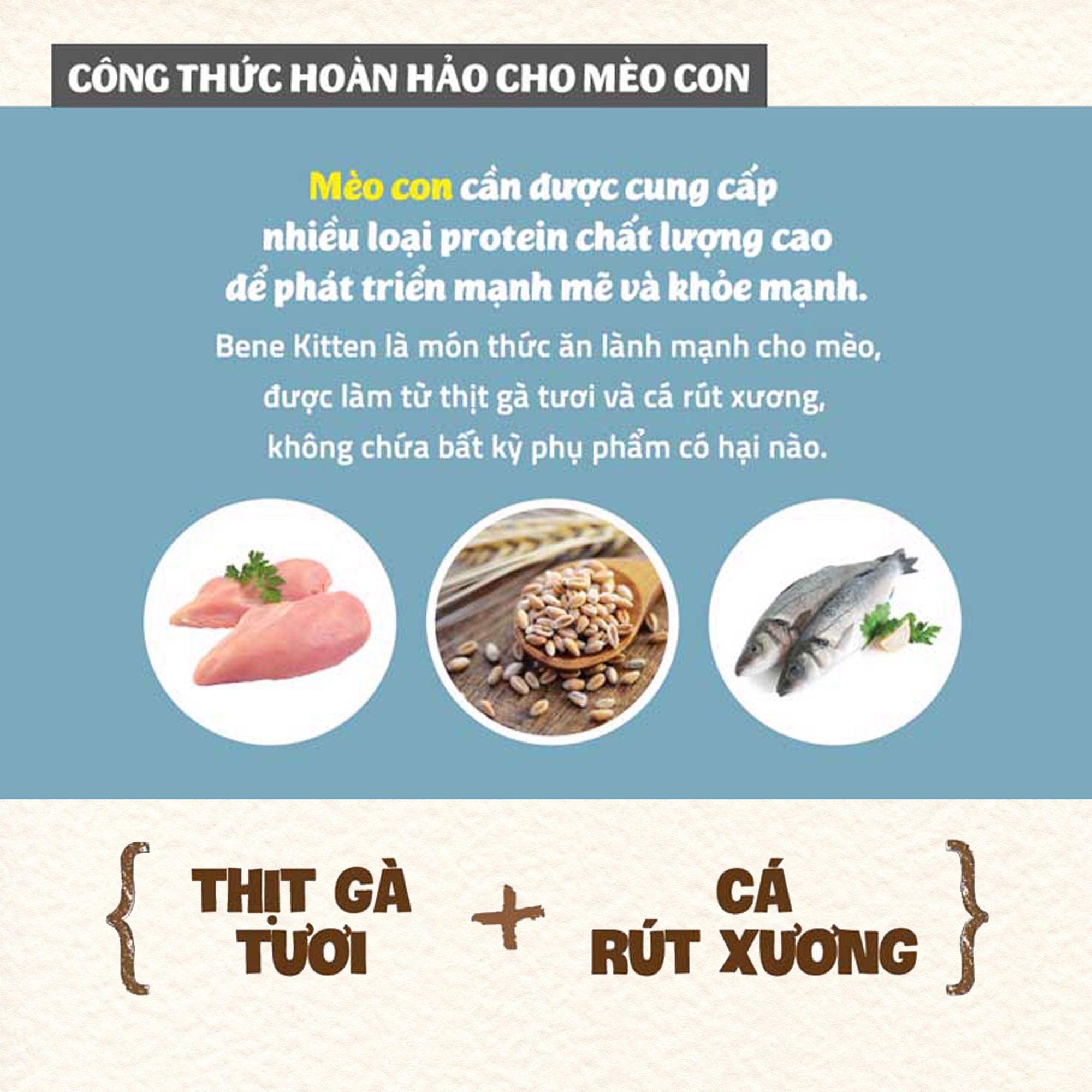 HẠT MÈO CON - NATURAL CORE C1 KITTEN THỊT GÀ & CÁ HỒI - SẢN PHẨM HÀN QUỐC