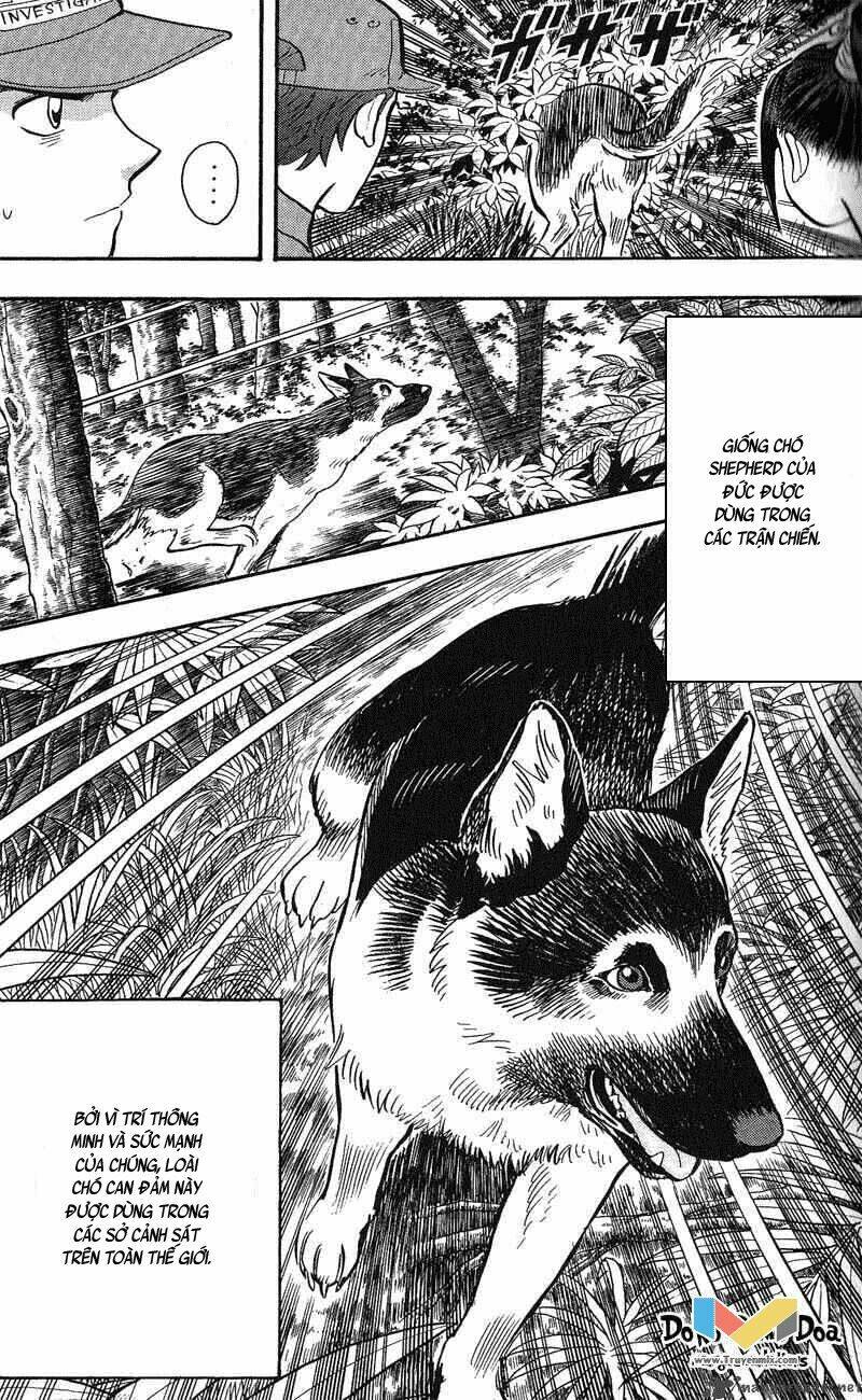 animal sense chapter 12 19