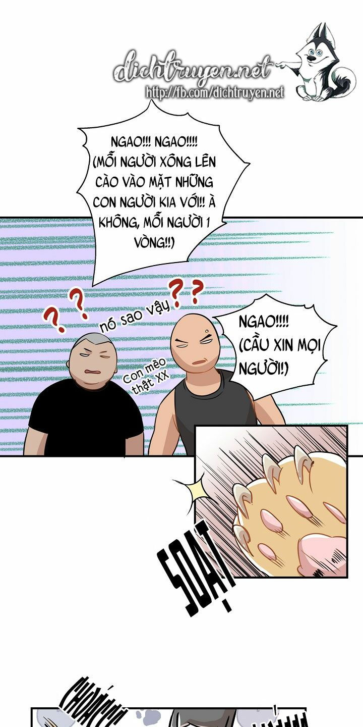 cuộc sống kỳ thú chapter 26 35