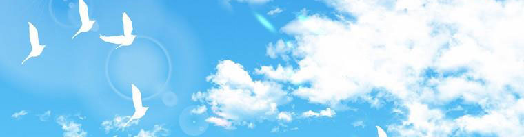 tôi sẽ cứu lấy nam chính tiểu thuyết bl chapter 24.1 174