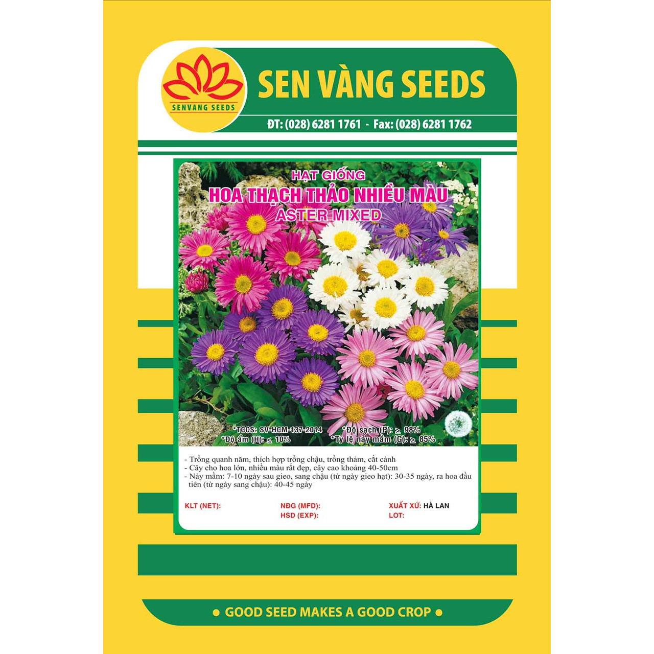 Hạt giống Hoa Thạch Thảo Hà Lan Mix VTS118