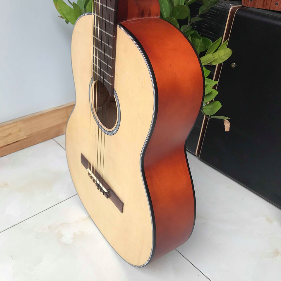 Đàn guitar classic SV-C1 mặt gỗ thông có ty chống cong- Dáng tròn số 8 - Đặt hàng tặng 7 phụ kiện - Bảo hành 12 tháng