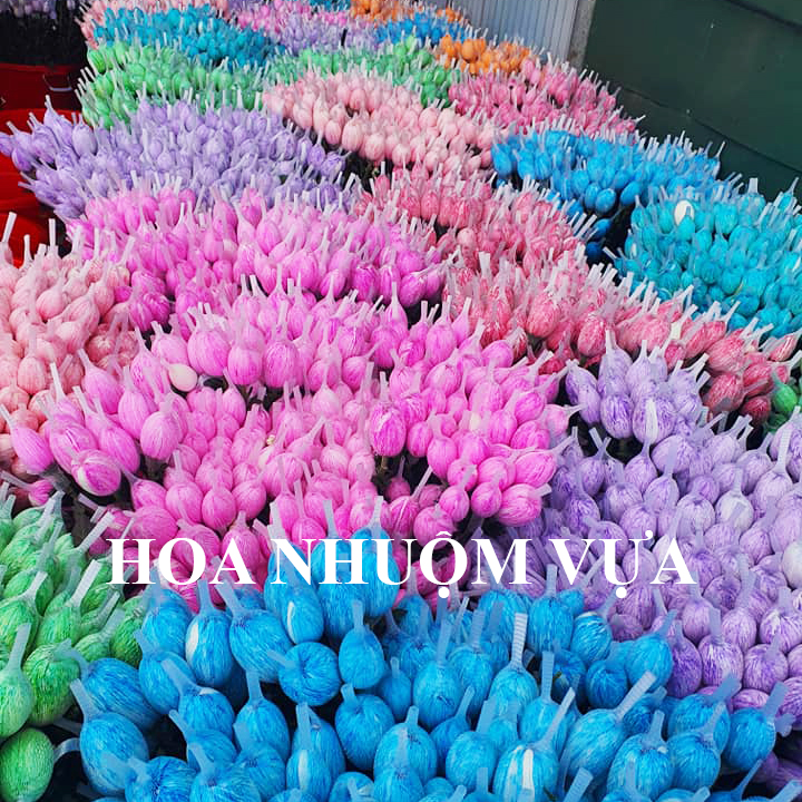 Nước Màu Nhuộm Hoa Tươi Màu Cam Israel Color Sodium For Fresh Flowers