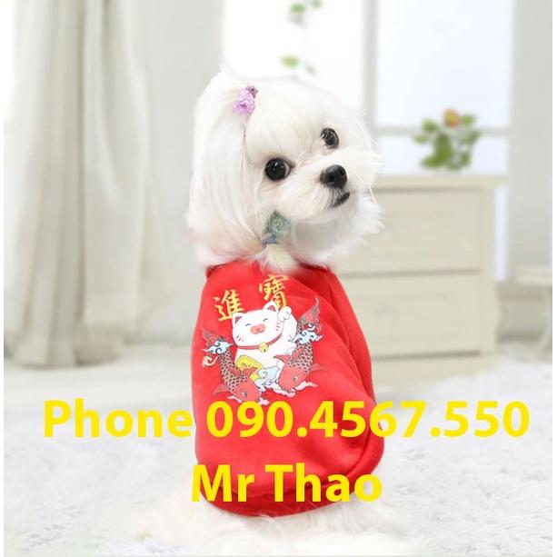 Quần áo Tết cho Chó Mèo - Quần áo Thú Cưng - Tet clothes for pets