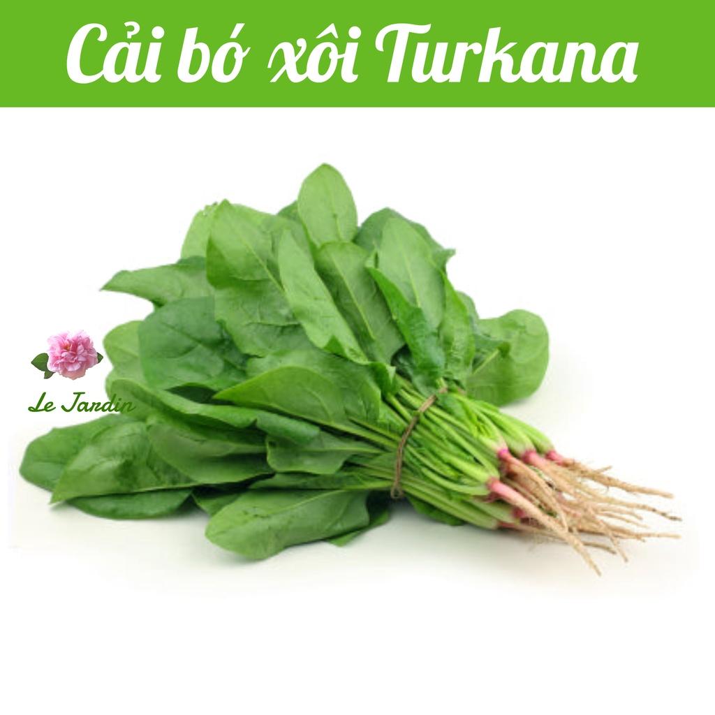 Hạt giống cải bó xôi chịu nhiệt Turkana gói 5gr - DỄ TRỒNG