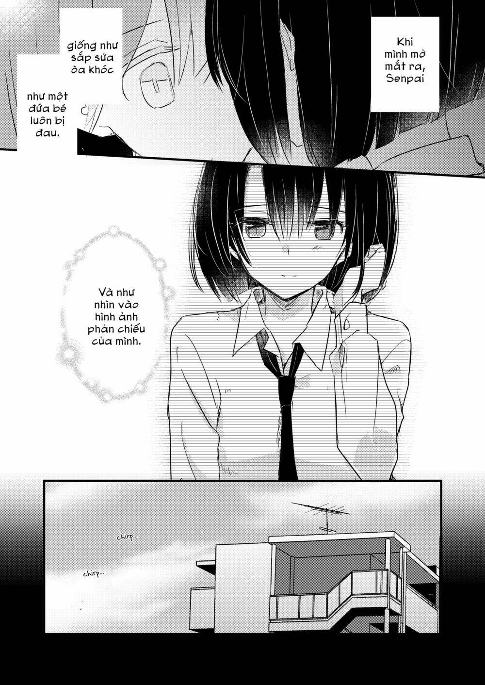 1 x ½ chapter 13.5 2