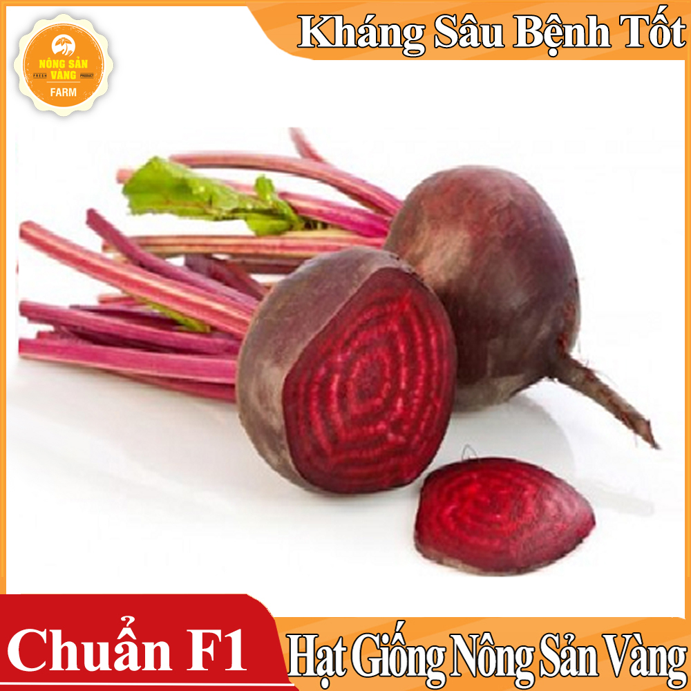 Hạt giống Củ Dền Đỏ