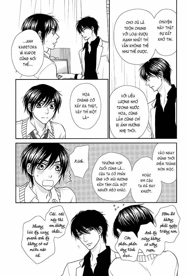 nekoka danshi no shitsukekata chapter 12 12