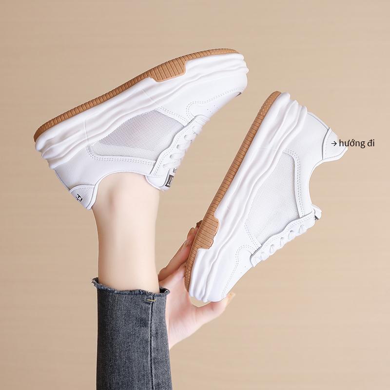 Giày thể thao khuyến mại cung cấp mới nhất giày làm việc giày lưới màu đỏ đôi giày thể thao giá thấp nhất