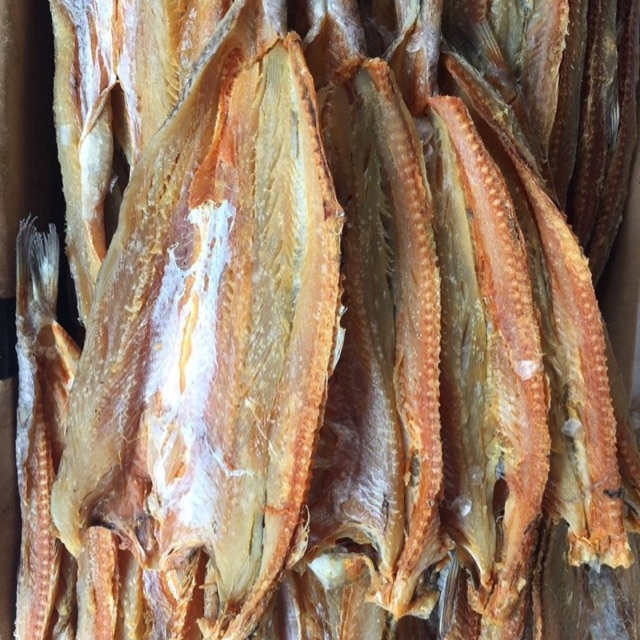 Khô Cá Mối