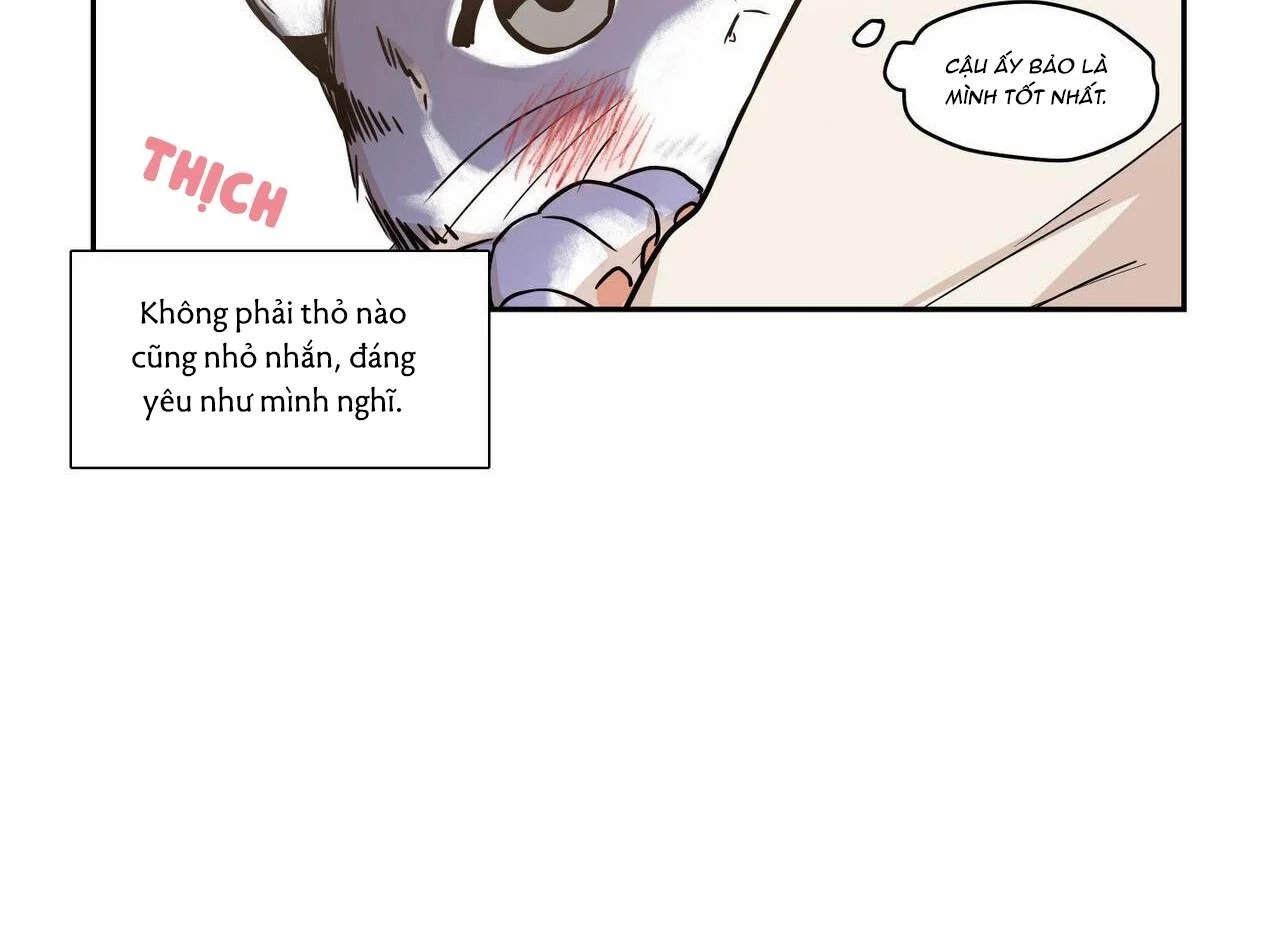 không chốn yêu đương chapter 68 58