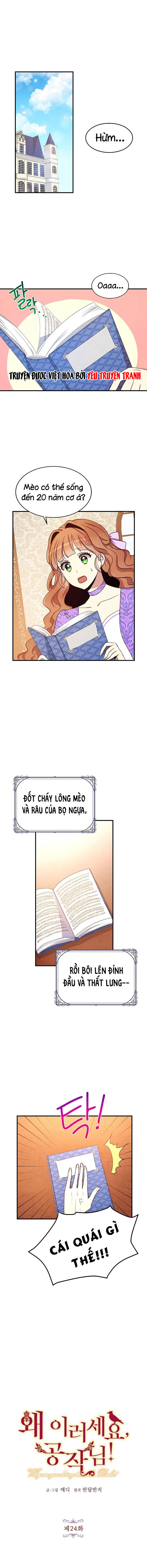 tại sao ngài làm điều này, công tước chapter 24 1