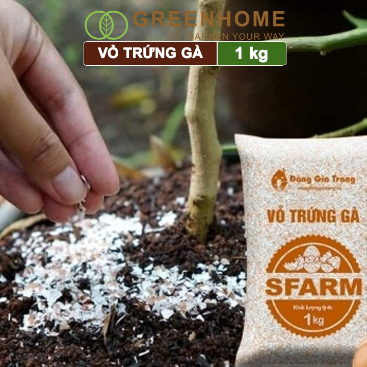 Vỏ Trứng Gà Trồng Cây Greenhome, Sfarm, Bao 1kg, Phân Bón Hữu Cơ, Ngăn Chặn Ốc Sên, Cải Tạo Đất, Chống Côn Trùng, Sâu Bọ