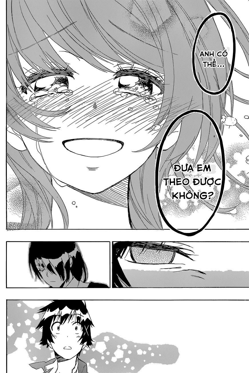 nisekoi - tình yêu giả tạo chapter 190 15