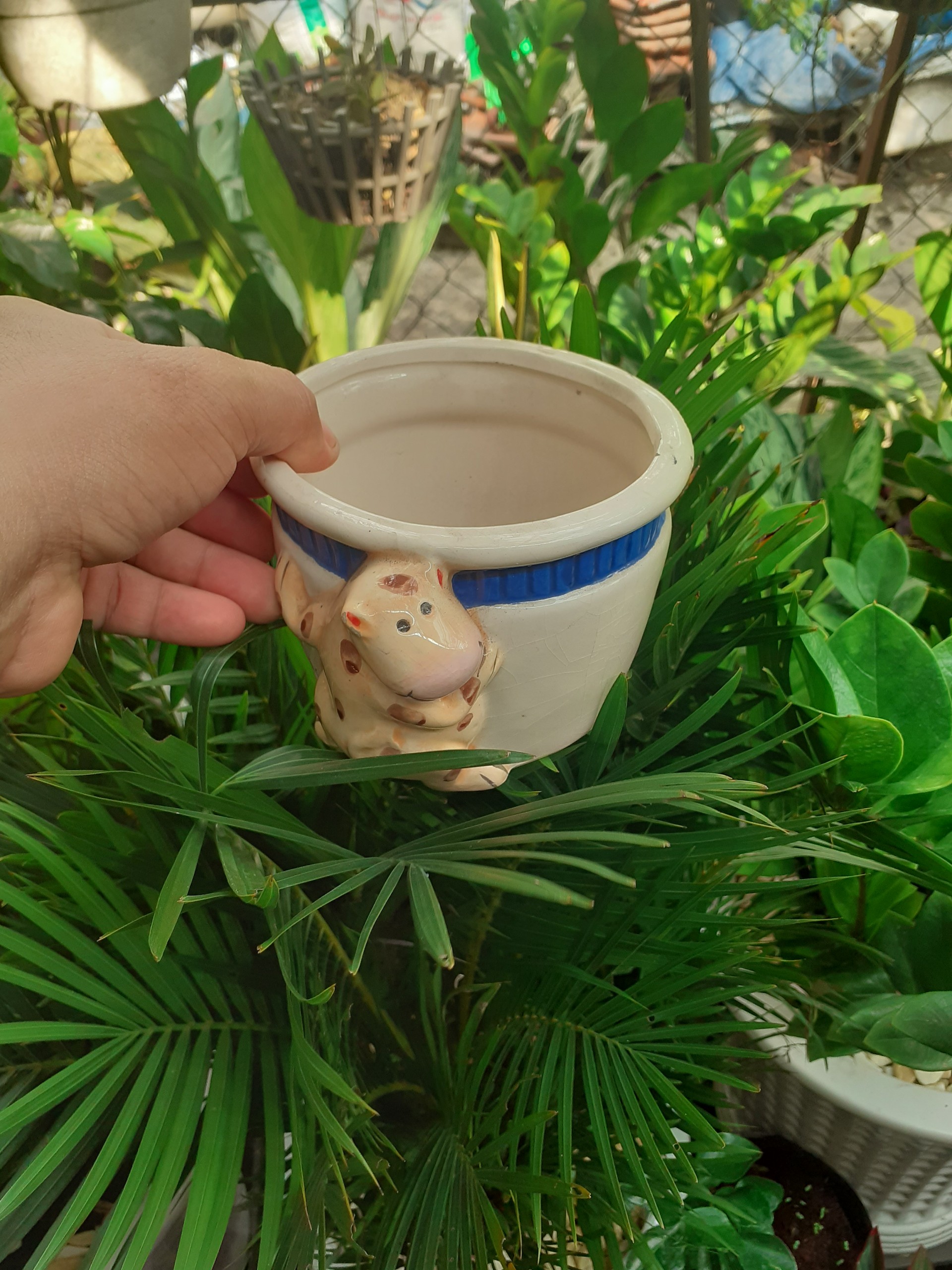 *** Chậu bé bò vàng trồng cây xinh xắn dễ thương ***